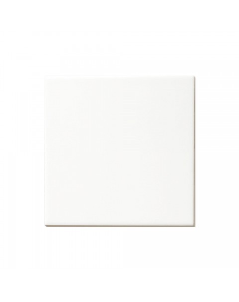 BASIC WHITE 300x300 MATT