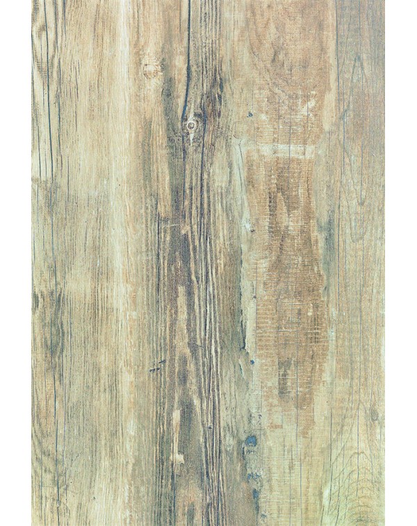 Oak Hill series Elm